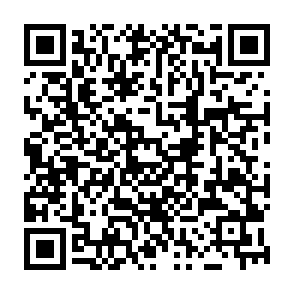 KREMLIN virus Codice QR