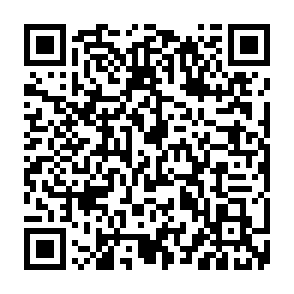 LabubaRAT trojan di accesso remoto Codice QR