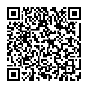 Lampion virus Codice QR