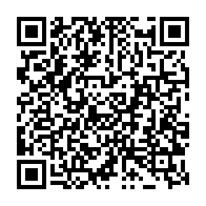 LofyStealer ladro di informazioni Codice QR