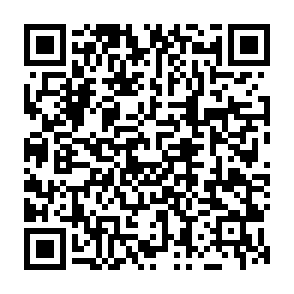 LQTOREQ virus Codice QR