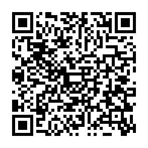Lunex data stealer Codice QR