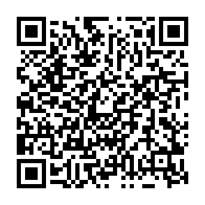 virus MAIN Codice QR