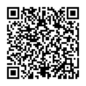 Rubatore di informazioni Maranhão Codice QR