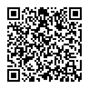 Marco information stealer Codice QR