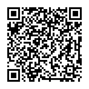 Miolab programma per il furto di informazioni Codice QR