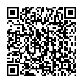 Monkey virus Codice QR