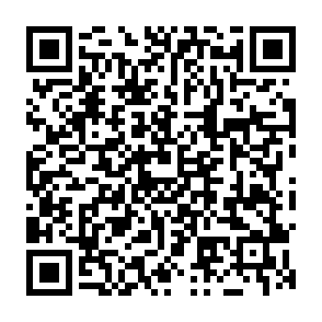 Montage virus Codice QR