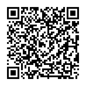 MOON (Dharma) virus Codice QR