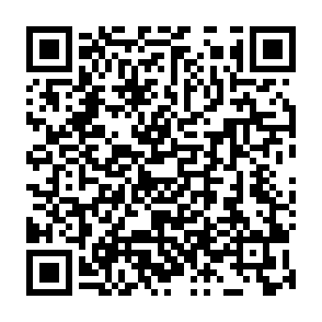 NBLock virus Codice QR