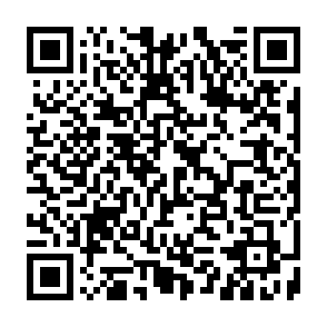 Needle Stealer malware Codice QR