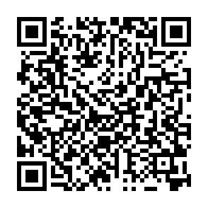 Net virus Codice QR