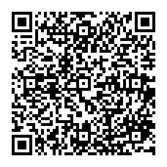 Netflix - Irregular Account Activity truffa di phishing Codice QR
