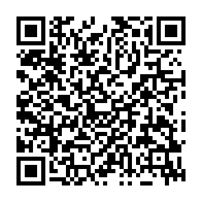 NimDoor stealer Codice QR