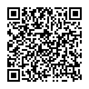 NOCT virus Codice QR