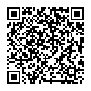 Pubblicità di nolermine.com Codice QR