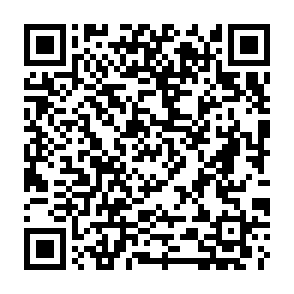 virus NoMatter Codice QR