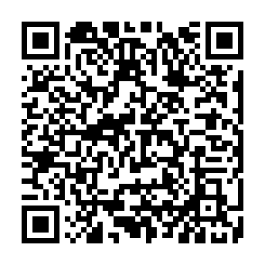 Noodlophile malware Codice QR