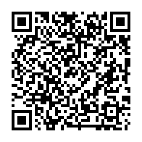 NWHStealer ladro di informazioni Codice QR