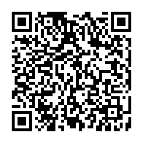 Osprey ladro di informazioni Codice QR