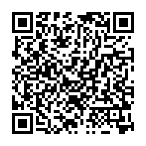 Own virus Codice QR