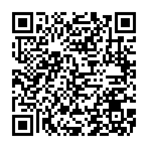 Virus PamStealer Codice QR