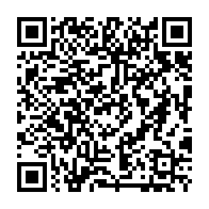 Pdf (2) virus Codice QR