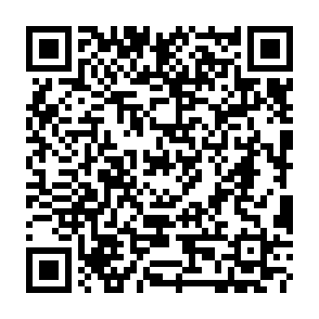 PhantomStealer ladro di informazioni Codice QR