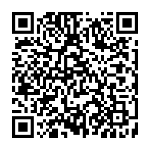 Phenol virus Codice QR