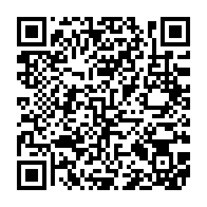 Phexia backdoor Codice QR