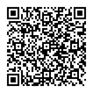 Phoenix Worm dropper Codice QR