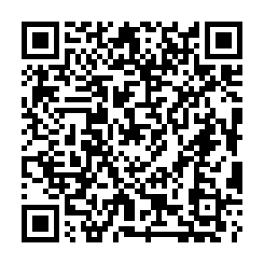 Prinz Eugen virus Codice QR