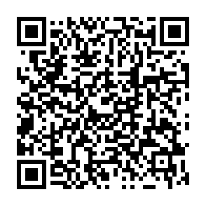 Privaky virus Codice QR