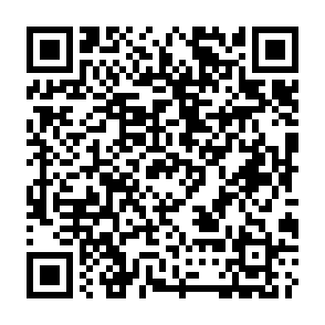 Trojan di accesso remoto PureRAT Codice QR