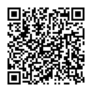 $Qubit Airdrop crypto drainer Codice QR