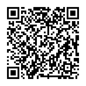 QuirkyLoader virus Codice QR