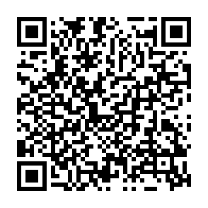 Qv virus Codice QR