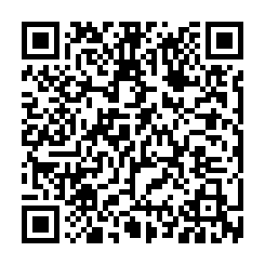 Raven ruba informazioni Codice QR