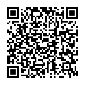 Regulus virus Codice QR