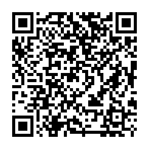 Remus information stealer Codice QR