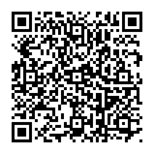 Sito di phishing Required System Upgrade Codice QR