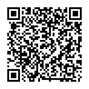 REVSTEALER infostealer Codice QR