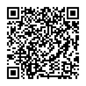 Rex virus Codice QR