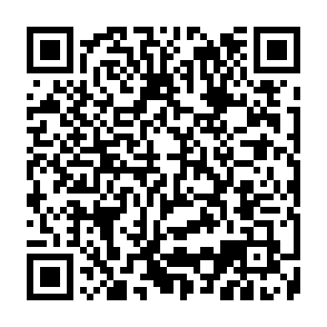 Reynolds virus Codice QR