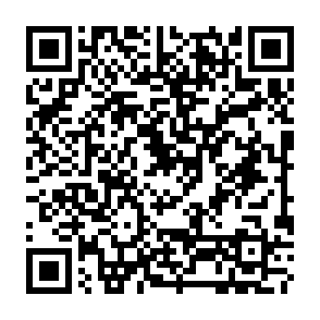 ShadowLock virus Codice QR
