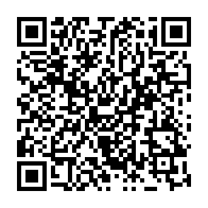 ShareX Airdrop drainer di criptovalute Codice QR