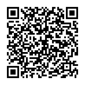 SharkStealer ladro di informazioni Codice QR