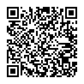 SHub programma per il furto di informazioni Codice QR