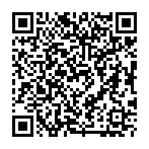 SHUYAL ladro di informazioni Codice QR