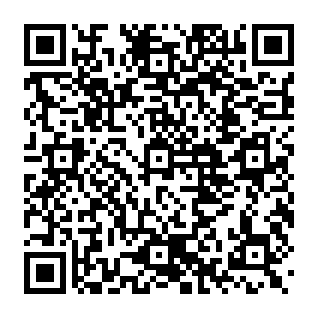 Falso Sol Incinerator Token Burn piattaforma Codice QR